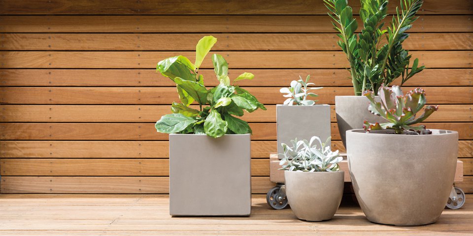 planter-box